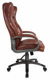 CH-879DG/Brown 