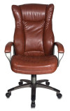 CH-879DG/Brown 